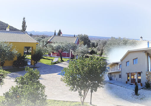 Προσφορές ξενοδοχείων για Αγριλιά