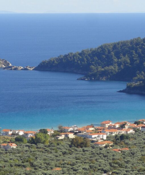 Προσφορές ξενοδοχείων για Κοίνυρα