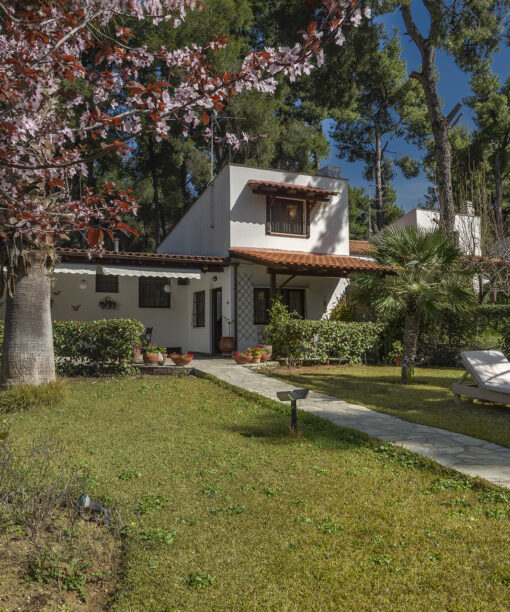 Προσφορές ξενοδοχείων για Σάνη